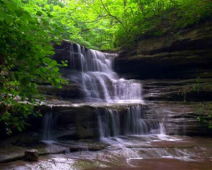 Starved Rock Forest Therapy